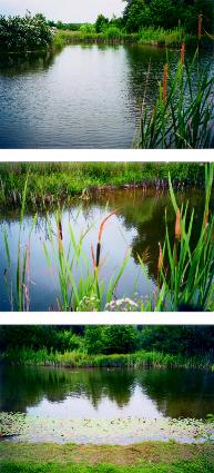 Plocher Oberfl�chenwasser